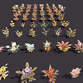 Diverse Collection of Potted Plants with Colorful Flowers and Green Leaves