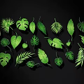 Green Tropical Leaf Wall Decor With Various Plant Leaf Shapes 3d model