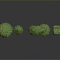 Green Plants With Small Red Fruits In Various Shapes And Different Heights On Gray Background