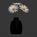 Black Cylindrical Textured Vase Holding Three White Daisies On Dark Background