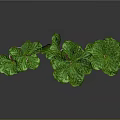Lush Green Plants in White Pots Arranged on Black Background