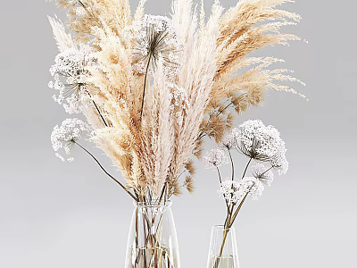 Elegant Floral Display With Transparent Vases Dried Pampas Grass And White Blossoms 3d model