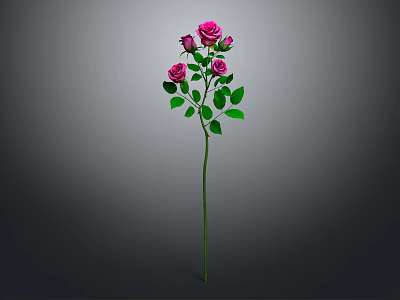 Beautiful Plant With Several Pink Roses And Green Leaves On Gray Background 3d model