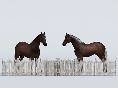 Two Brown Horses Standing Together by White Fence Under Gray Sky 3d model
