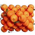 Assorted Fresh Fruits Collection Including Watermelon Banana Apple Grapes And Strawberries