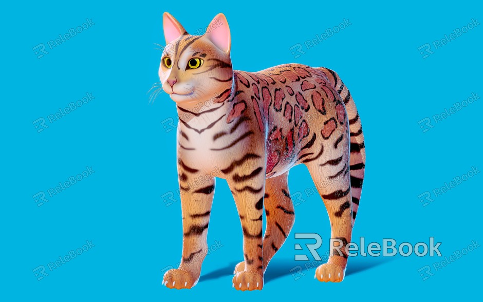 Cat Leopard Cat Pet model