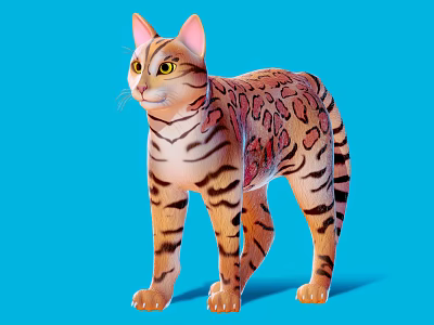 Vibrant Reptile With Leopard Spots And Tiger Stripes On Blue Background 3d model