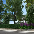 Municipal Road With Lush Green Vegetation Colorful Flowers And Sidewalk Landscape Design