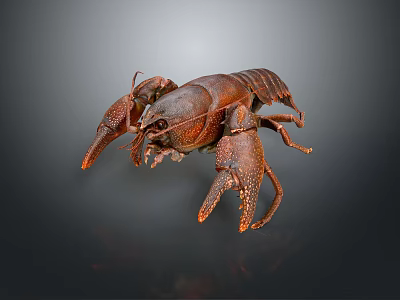 Aquatic Brown Crayfish With Detailed Claws And Textured Shell On Plain Background 3d model