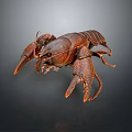 Aquatic Brown Crayfish With Detailed Claws And Textured Shell On Plain Background
