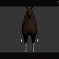 Equestrian Character And Brown Horse With Saddle Bridle Standing On Dark Gray Background