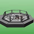 Professional UFC Octagon Fighting Ring for Mixed Martial Arts Sports Fitness