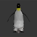 Penguin With Black Head Yellow Throat And White Feather Texture On Gray Background