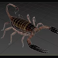 Scorpion Reptile With Brown And Yellow Striped Body Large Black Claws Curved Tail In Grassland