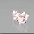 Natural Pink White And Purple Crystal Cluster On Black Background With Reflective Surface