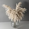 Transparent Glass Vase With White Pampas Grass Flowers On Light Tabletop Against Gray Wall