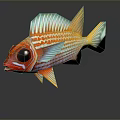 Vibrant Tropical Fish With Red Orange Stripes Blue Fins And Large Eyes
