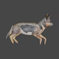 Realistic 3D Rendered Brown White Dog In Dynamic Running Pose 3d model