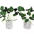 White Textured Square Vases With Green Hanging Leaf Plants For Indoor Decor