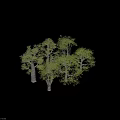 Various Arbor Trees With Different Growth Forms Isolated On Black Background 3d model