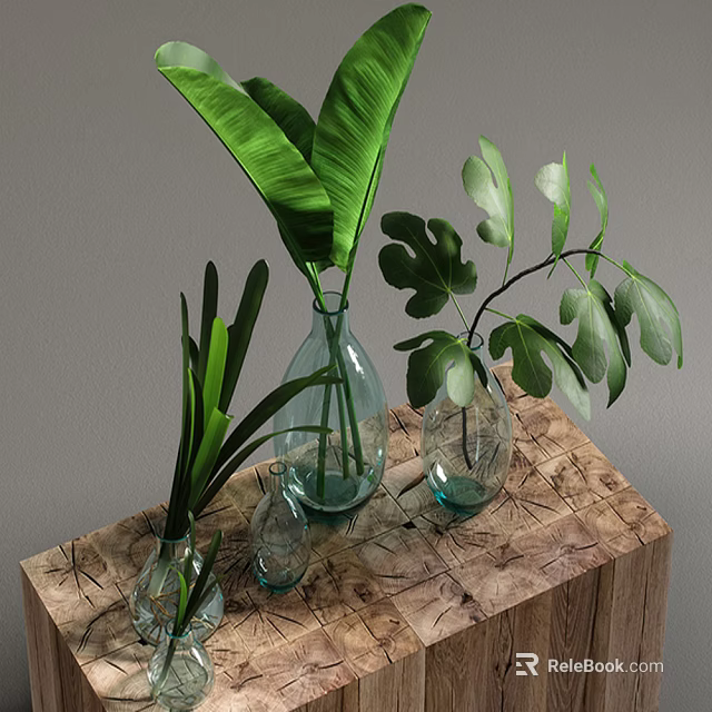 Transparent Glass Vases with Green Leaves Placed on Wooden Table Surface 3d model 