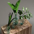 Transparent Glass Vases with Green Leaves Placed on Wooden Table Surface