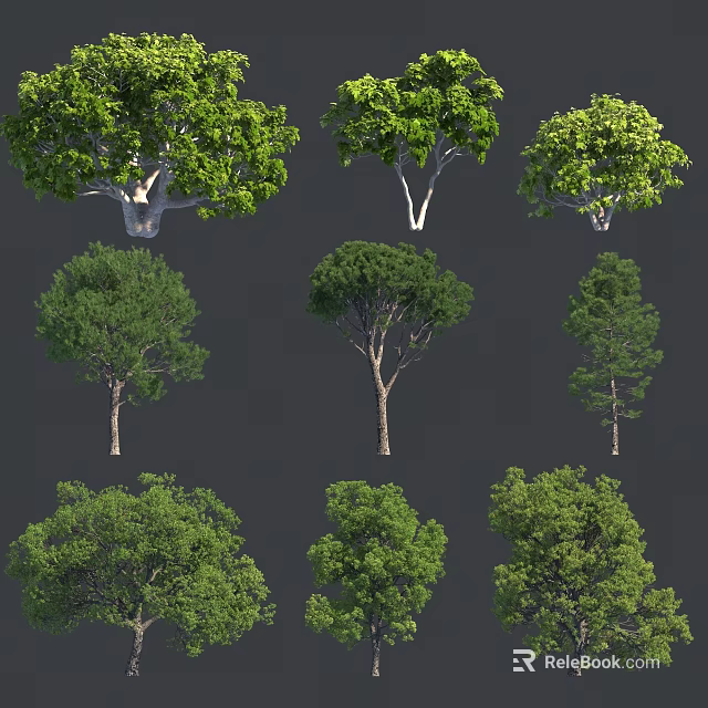Various Types of Arbor Trees with Lush Green Foliage and Different Canopies 3d model 