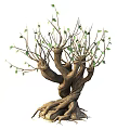 Ancient Arbor With Twisted Trunks Exposed Roots Sparse Branches And Tender Green Leaves 3d model