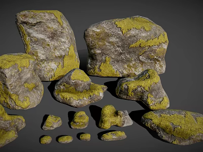 Natural Stones And Wood Pieces With Yellow Moss In Various Sizes 3d model