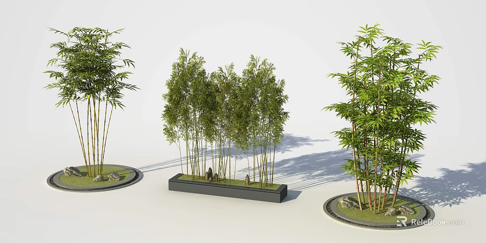 Lush Green Bamboo Plants In Different Planters For Garden Decoration 3d model 