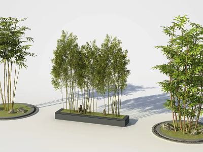 Lush Green Bamboo Plants In Different Planters For Garden Decoration 3d model