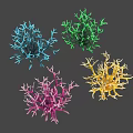 Vibrant Branching Coral Marine Animals With Blue Green Pink Yellow Hues