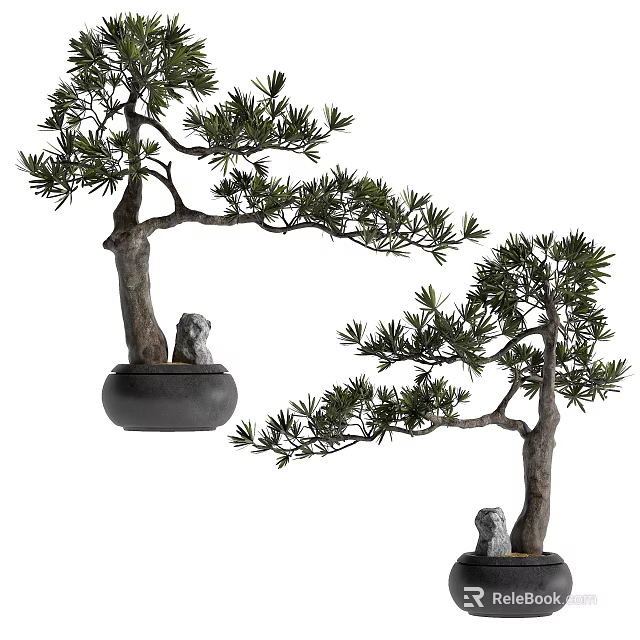 Beautiful Bonsai Trees with Natural Trunks Lush Foliage and Stone Lion Decor in Black Pots 3d model 