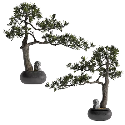 Beautiful Bonsai Trees with Natural Trunks Lush Foliage and Stone Lion Decor in Black Pots 3d model