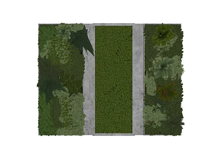 Vertical Living Plant Wall With Central Concrete Pathway And Diverse Green Foliage 3d model