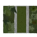 Vertical Living Plant Wall With Central Concrete Pathway And Diverse Green Foliage