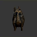 Artistic Bronze Wild Boar Sculpture With Shiny Surface On Gray Background