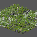 Japanese Dry Landscape Garden Design With Grid Layout Green Plants And White Paths