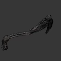 Prehistoric Animal Skeleton Fossil with Complete Anatomical Structure