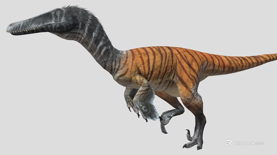 Striped Long Neck Dinosaur 3D Model With Running Posture And Sharp Claws 3d model