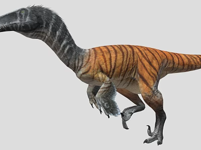 Striped Long Neck Dinosaur 3D Model With Running Posture And Sharp Claws 3d model