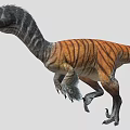 Striped Long Neck Dinosaur 3D Model With Running Posture And Sharp Claws 3d model