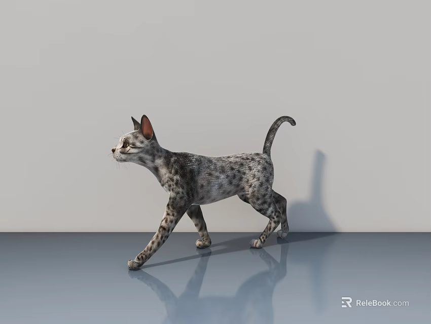 Grey Spotted Cat Walking On Reflective Grey Floor With Plain Grey Wall Background 3d model 