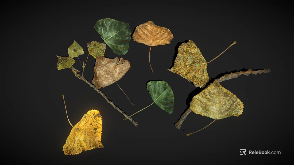 Dry Leaves And Branches Display Natural Autumn Texture On Dark Surface 3d model 
