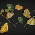 Dry Leaves And Branches Display Natural Autumn Texture On Dark Surface 3d model