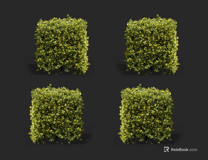 Four Square Shaped Green Shrubs Neatly Trimmed For Garden Decoration 3d model 