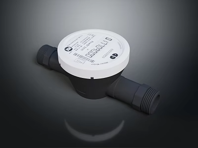 Mechanical Domestic Water Meter With White Dial And Plastic Connection Parts 3d model