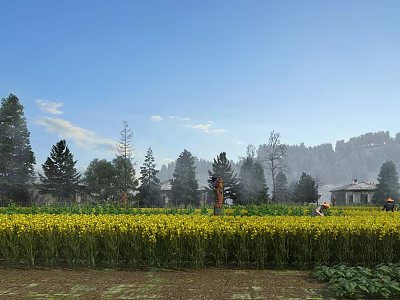 Farmhouse Swing Door In Yellow Flower Field With Trees And Blue Sky 3d model