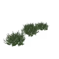 Decorative Ornament Set With Various Lush Green Plants For Home Decor