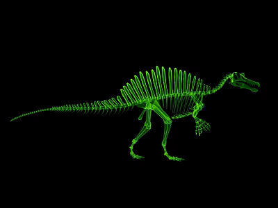 Detailed Green Reptile Dinosaur Skeleton on Black Background 3D Illustration 3d model
